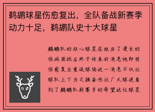鹈鹕球星伤愈复出，全队备战新赛季动力十足，鹈鹕队史十大球星